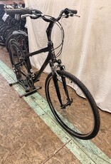 16" Giant Cypresss (0014) I4U