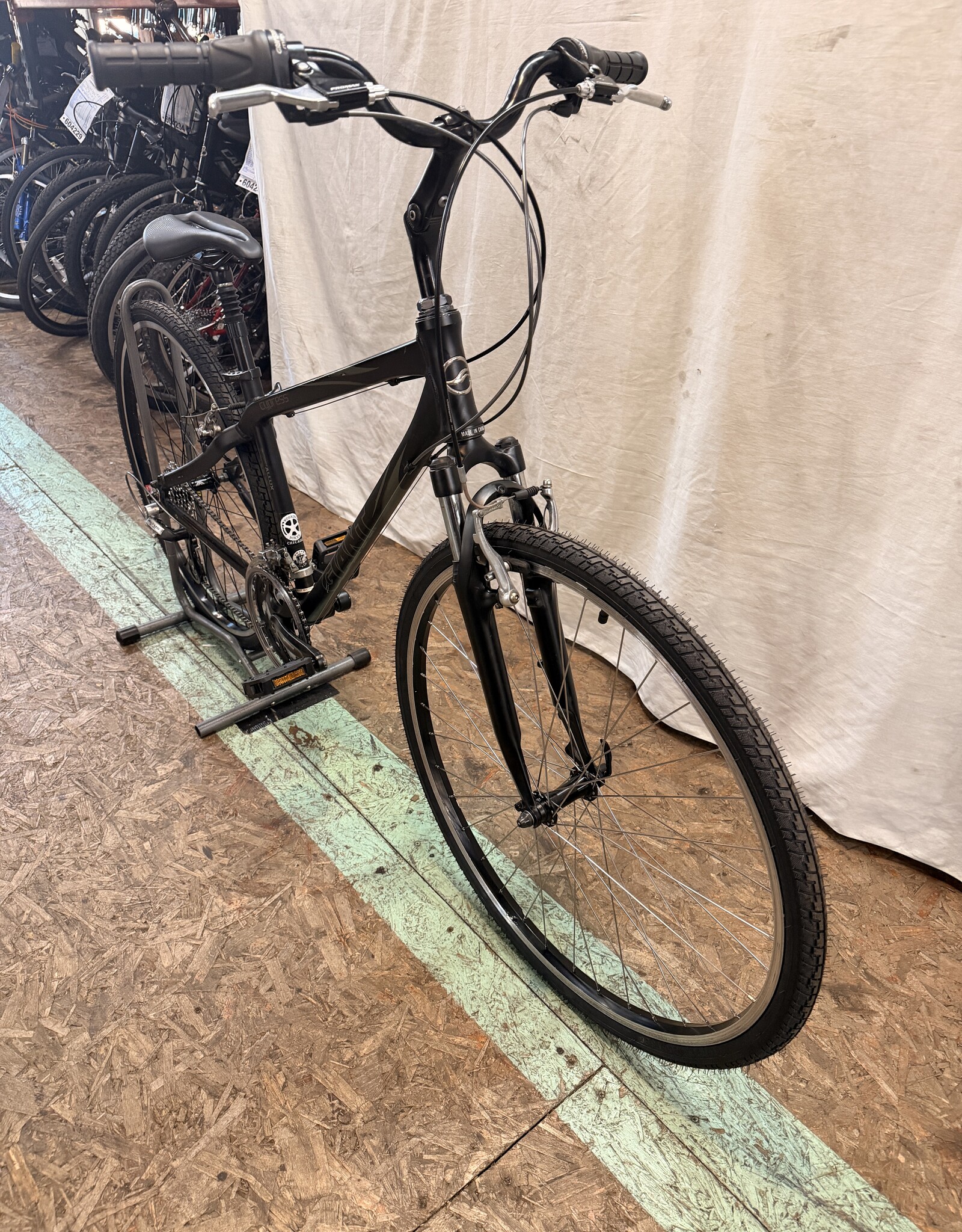 16" Giant Cypresss (0014) I4U