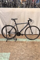 19" Schwinn Tourist (3608) I4U