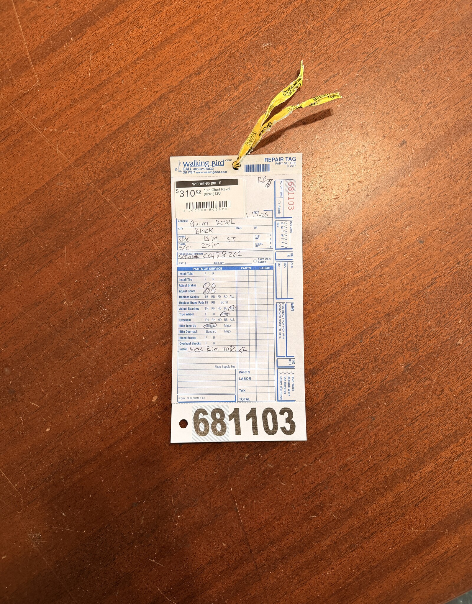 13in Giant Revel (8261) I3U