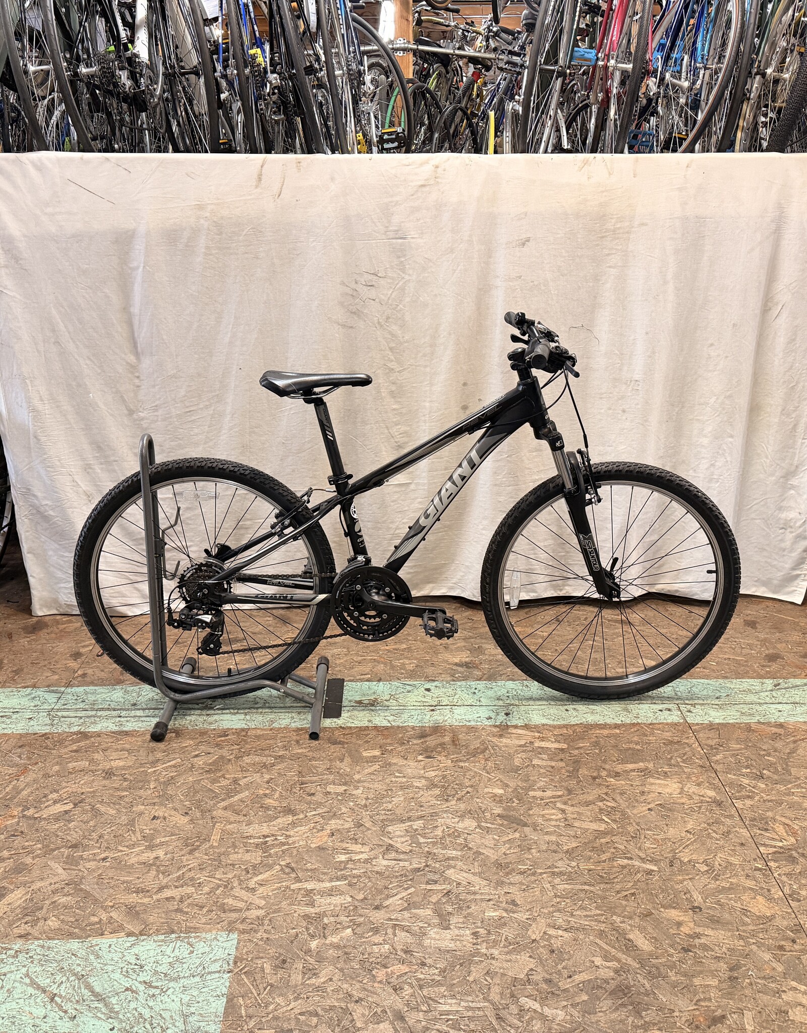 13in Giant Revel (8261) I3U