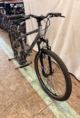 16" Giant Boulder (D822) I3U