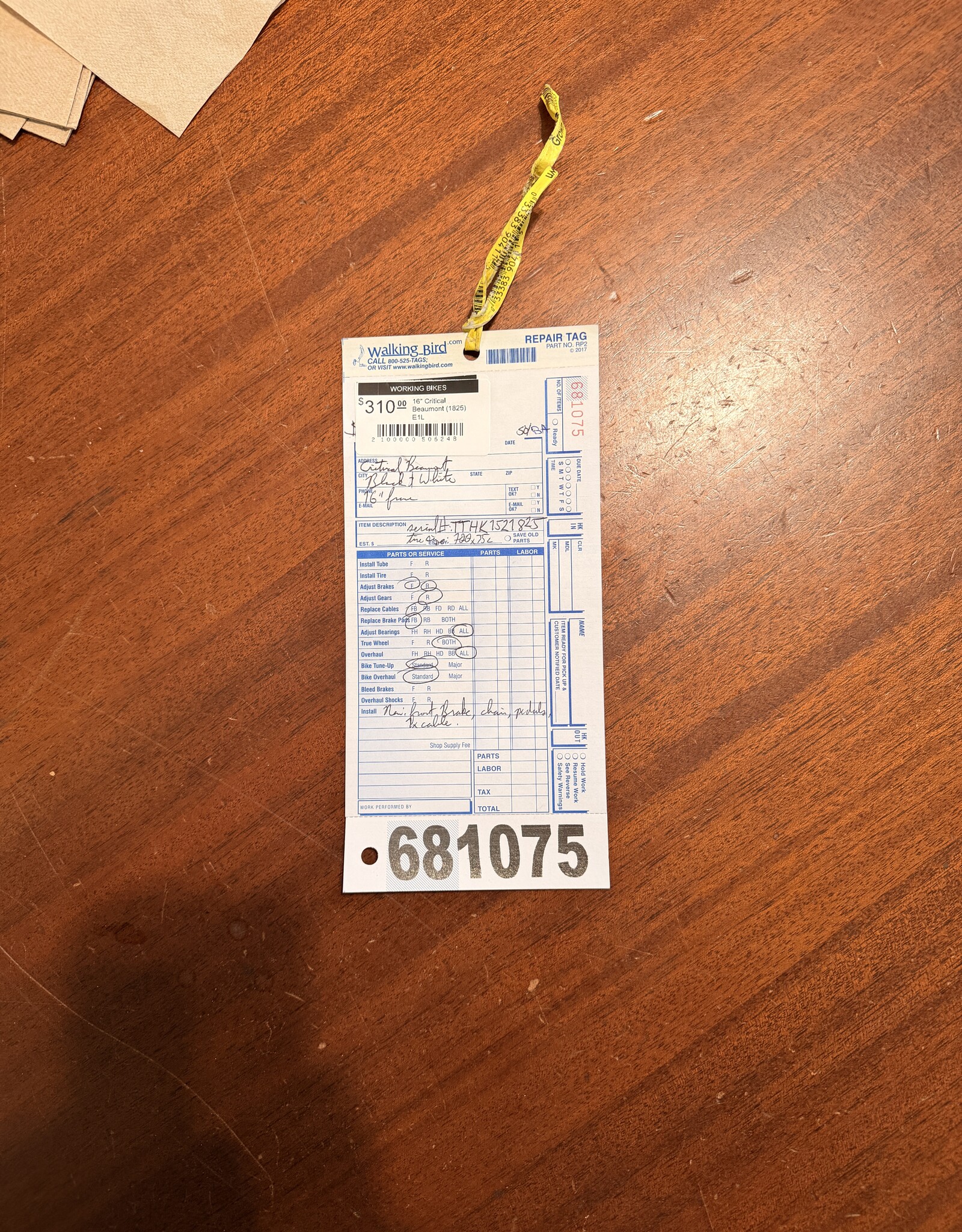 Critical 16" Critical Beaumont (1825) E1L