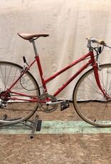 49cm Schwinn World Sport (3269) B5U