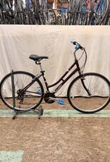Raleigh 19" Raleigh Detour (4966) B3U