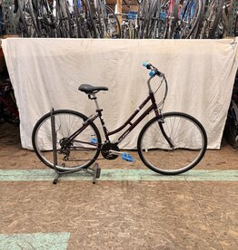 Raleigh 19" Raleigh Detour (4966) B3U