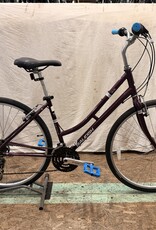 Raleigh 19" Raleigh Detour (4966) B3U