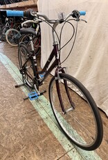 Raleigh 19" Raleigh Detour (4966) B3U