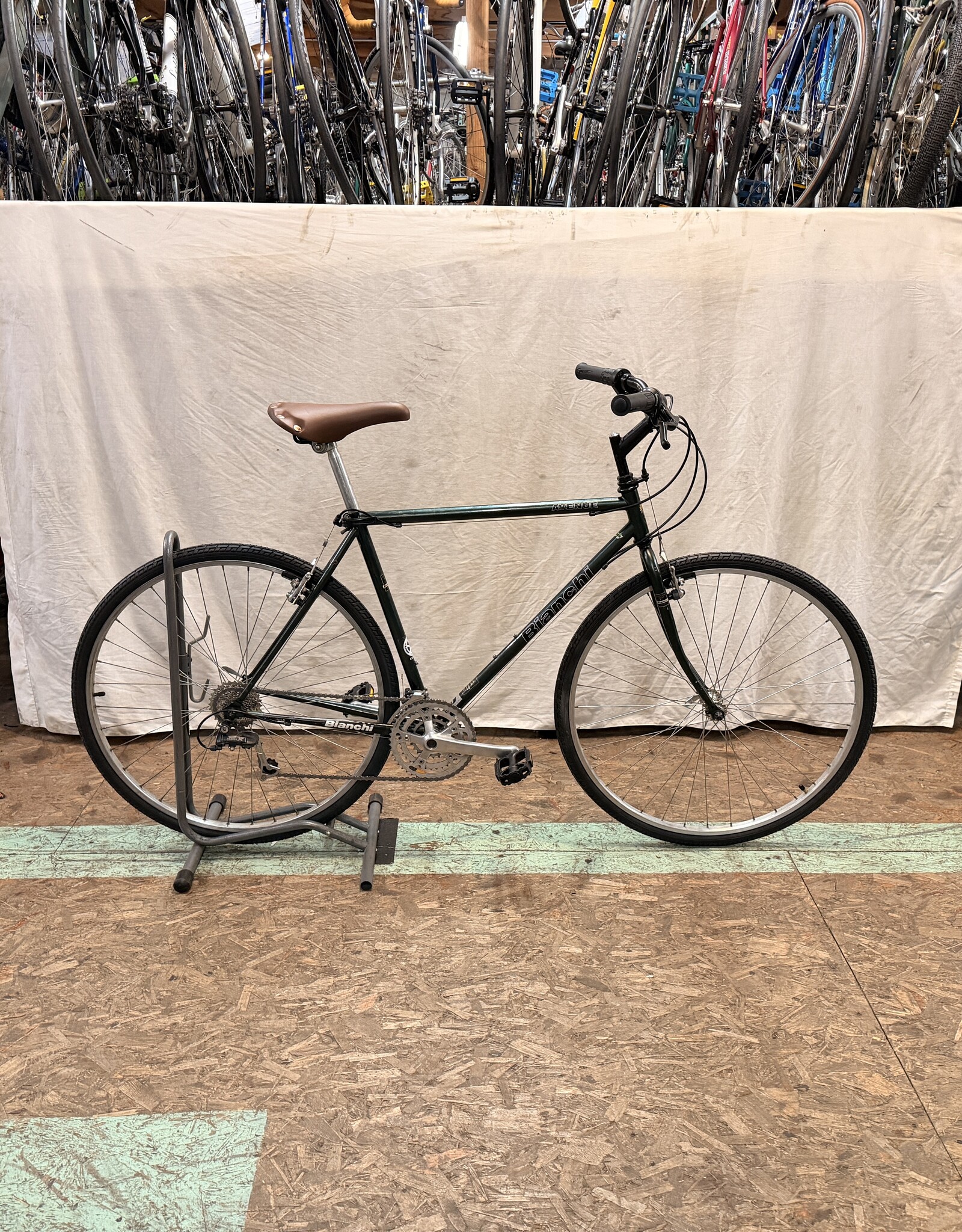 Bianchi 21" Bianchi Avenue (2237) B3U