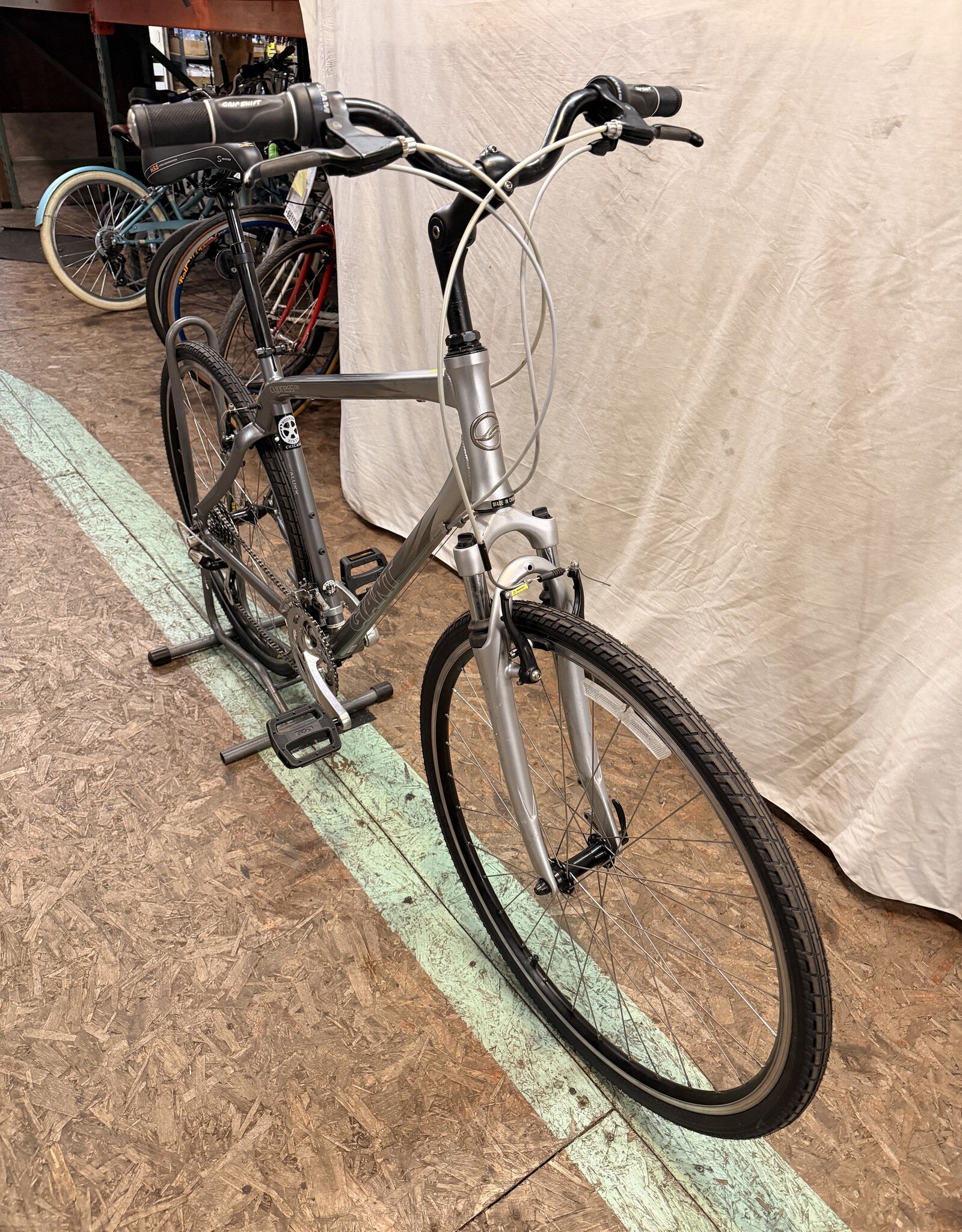 21" Giant Cypress DX (0665) H2L