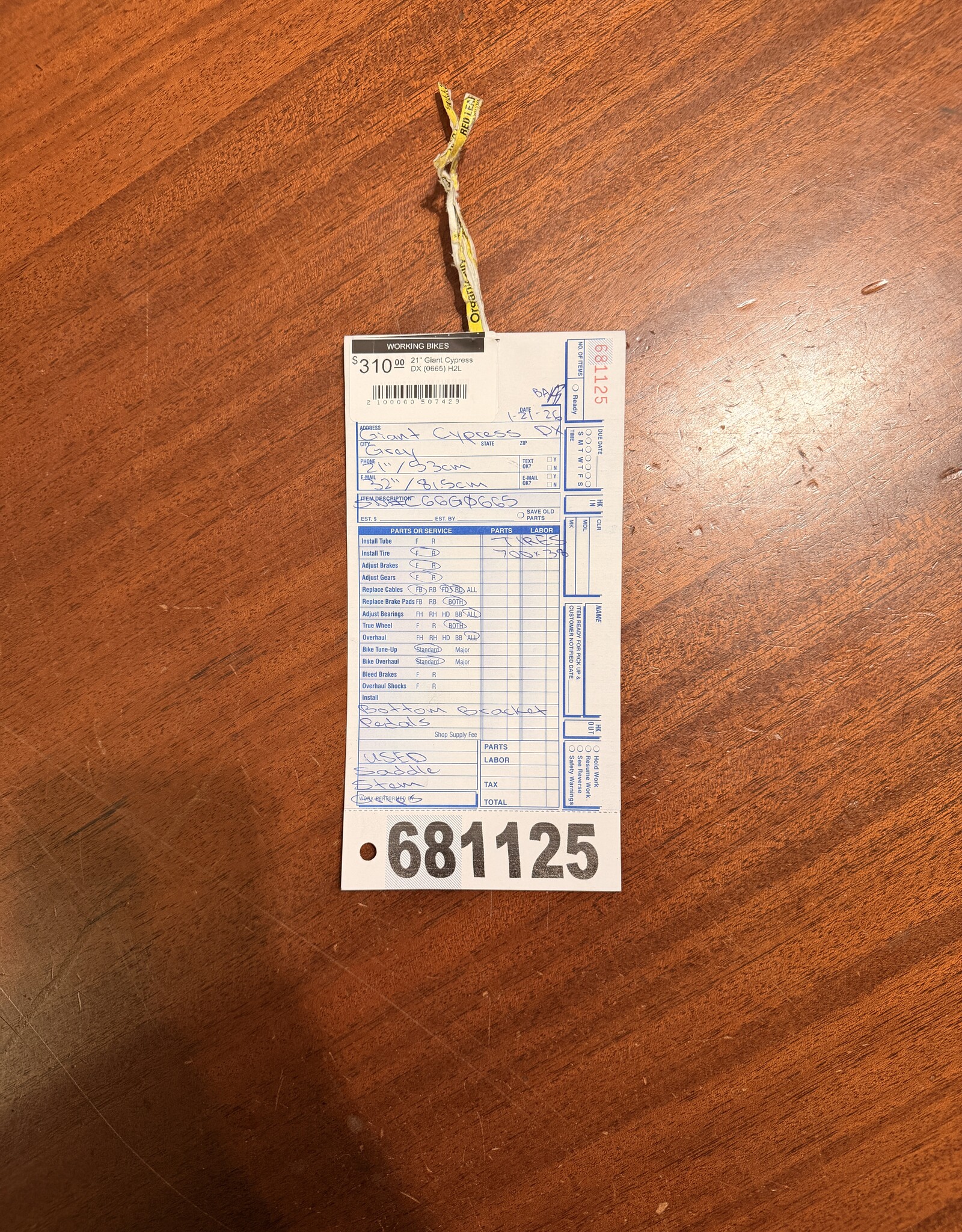 21" Giant Cypress DX (0665) H2L