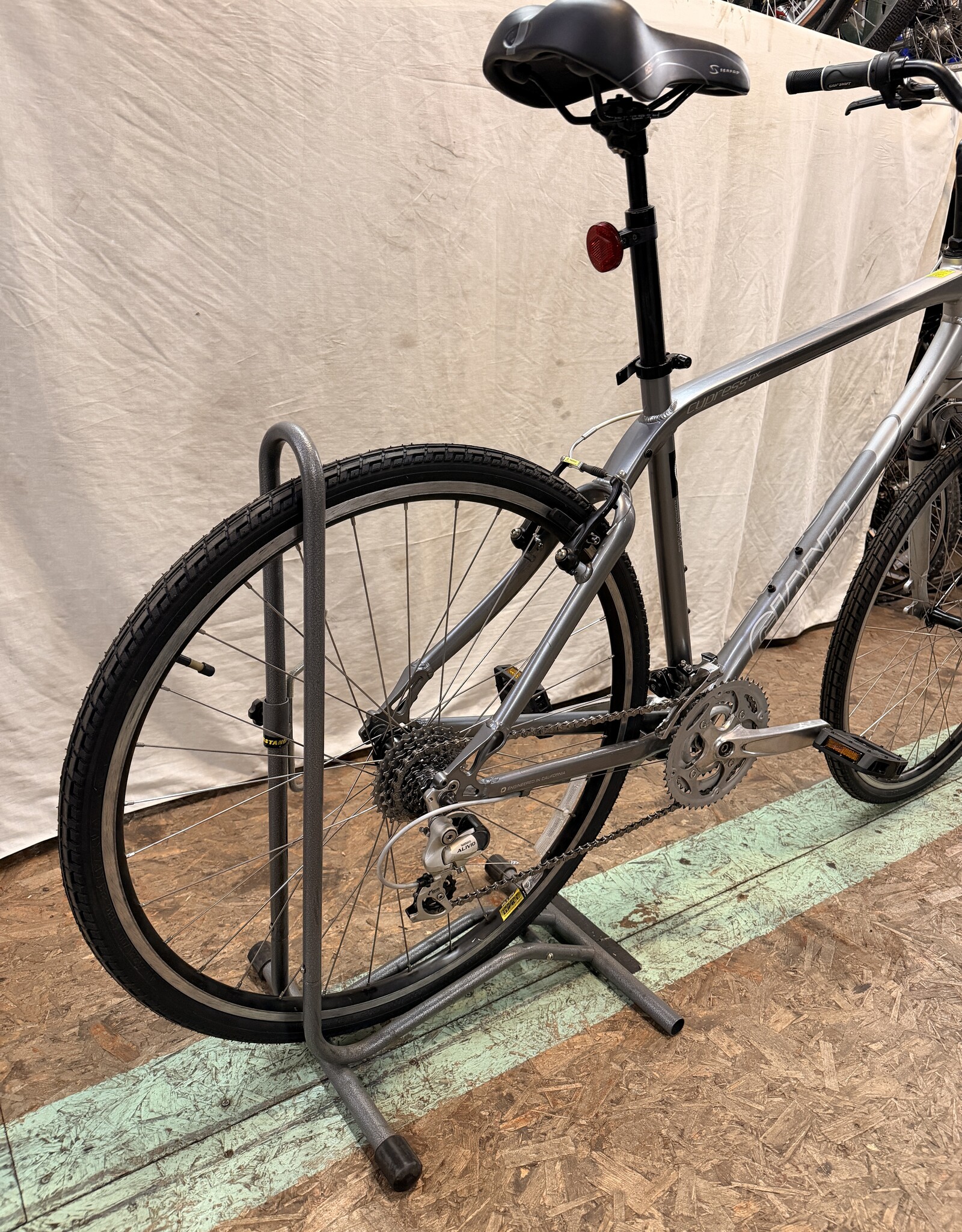 21" Giant Cypress DX (0665) H2L