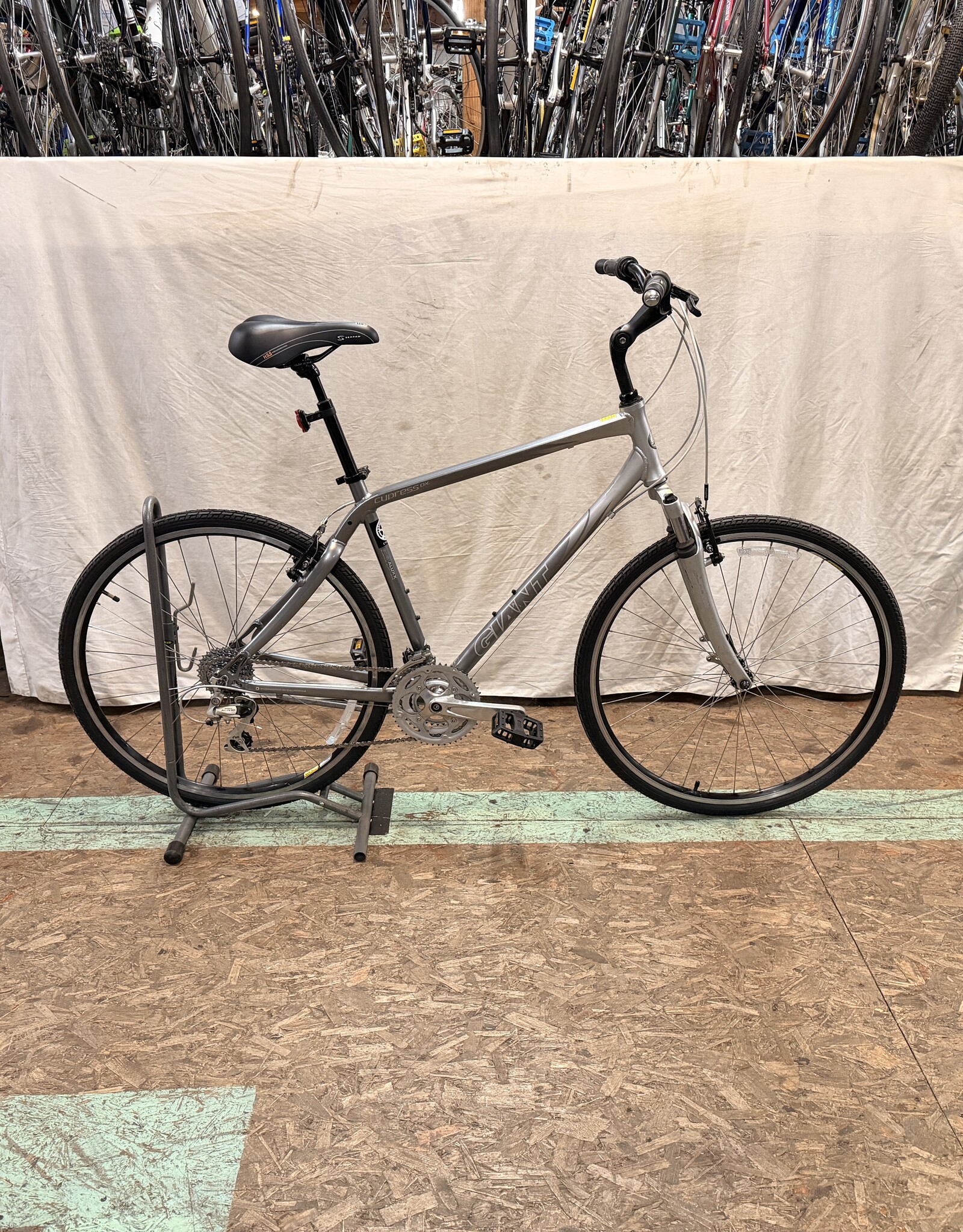 21" Giant Cypress DX (0665) H2L