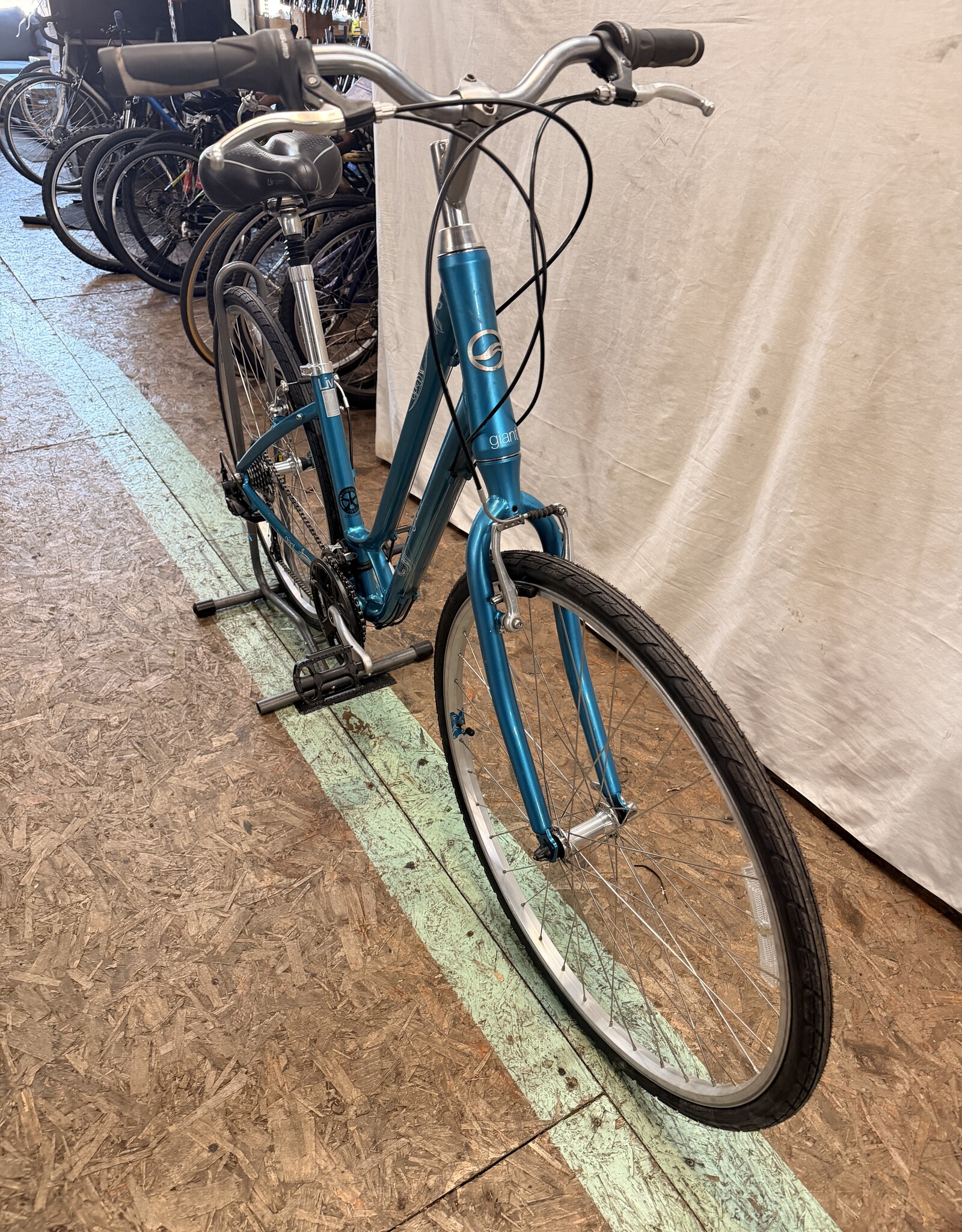 16" Giant Cypress (1913) K2U