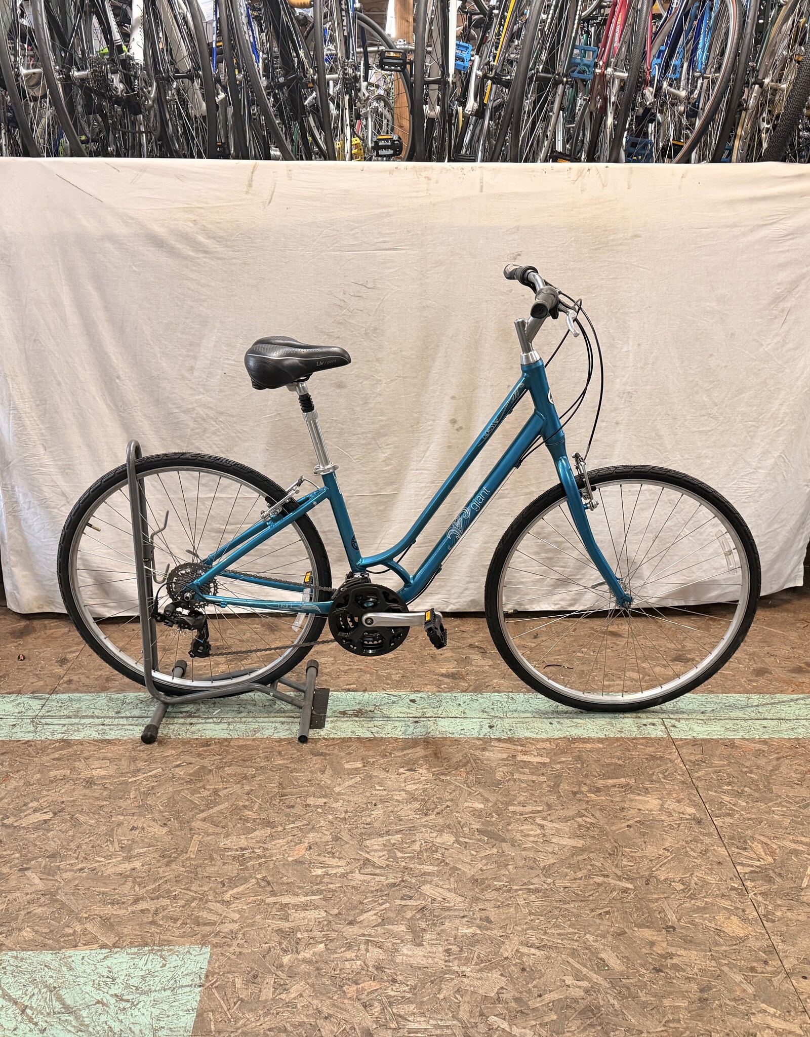 16" Giant Cypress (1913) K2U