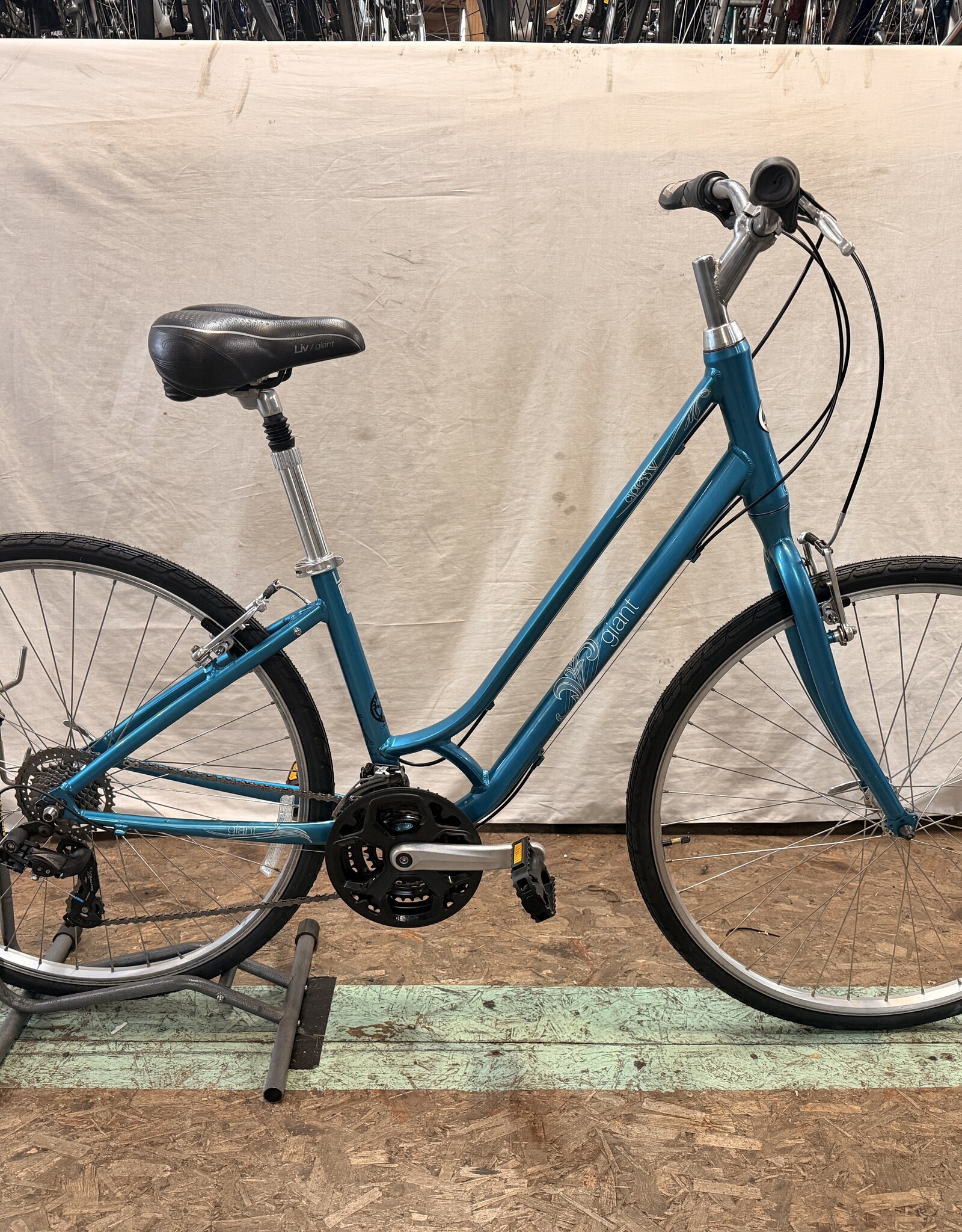 16" Giant Cypress (1913) K2U