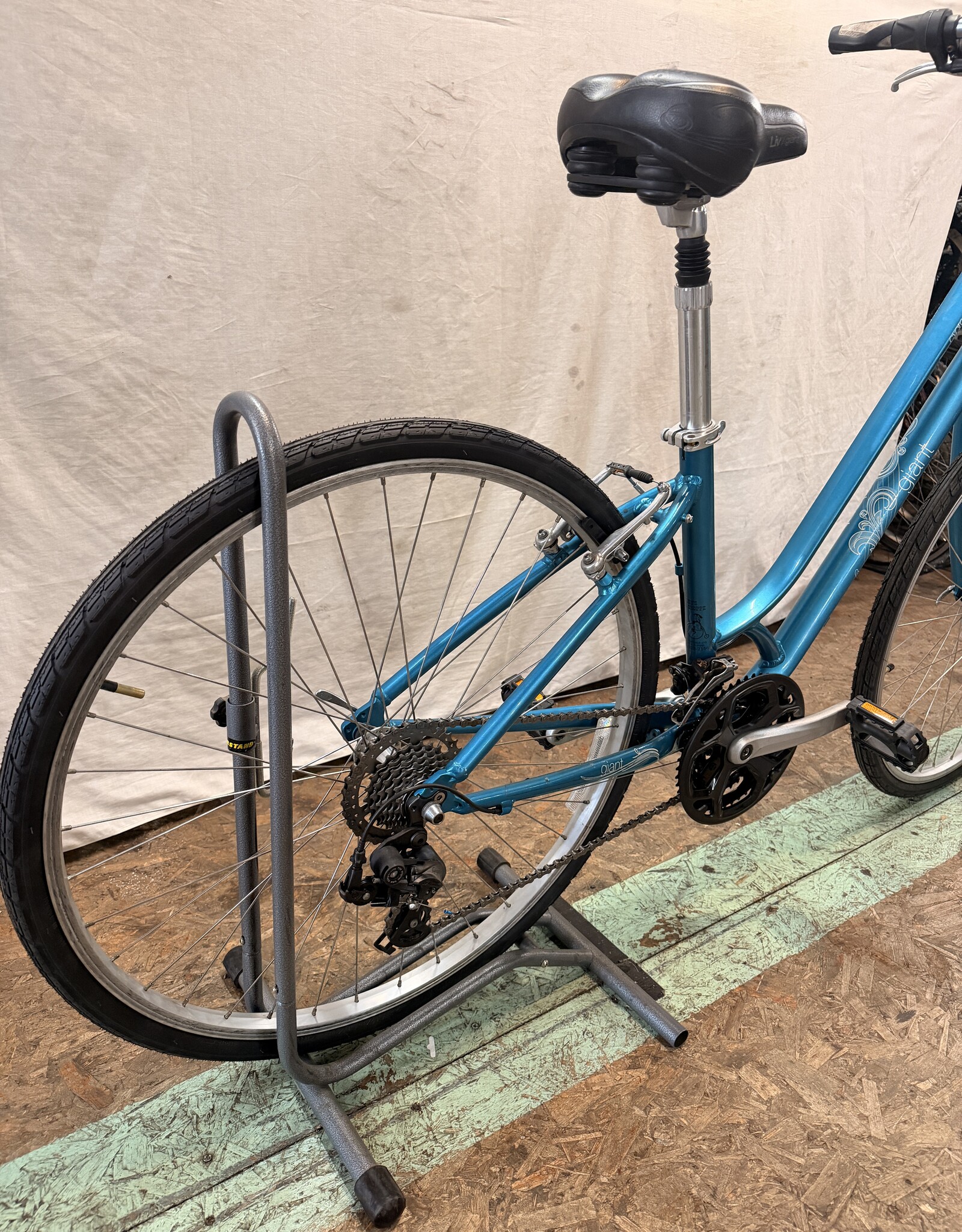 16" Giant Cypress (1913) K2U