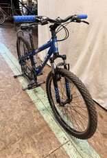 13" Trek 820 (151E) K1U