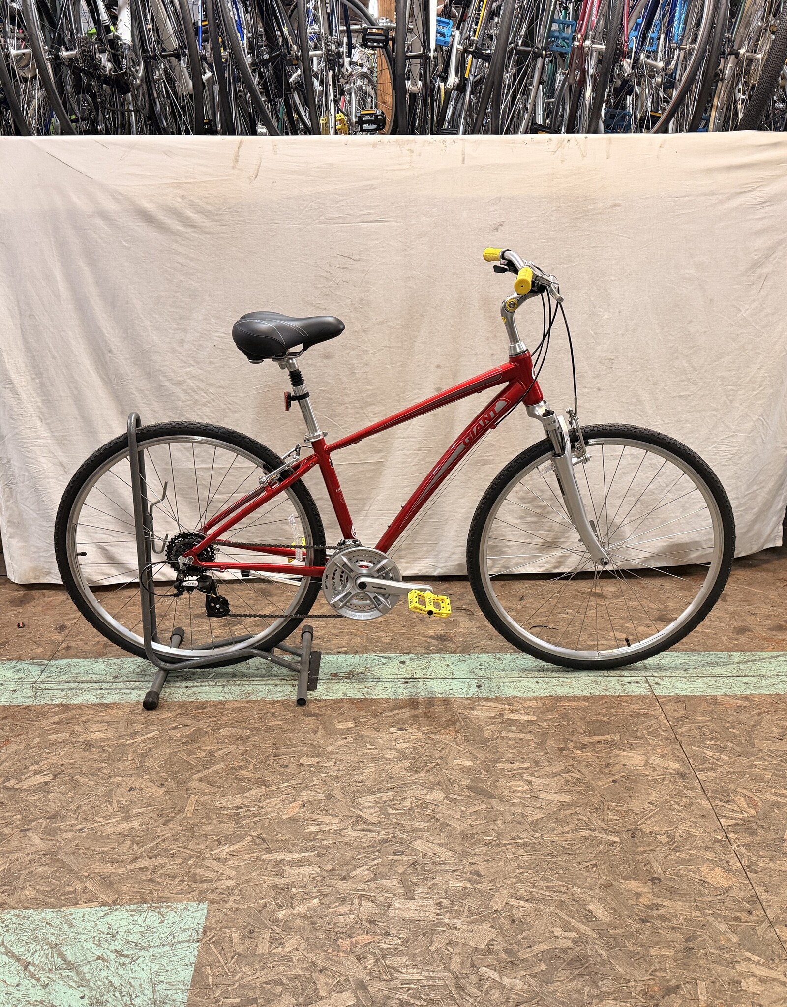 16" Giant Sedona (1642) C5L