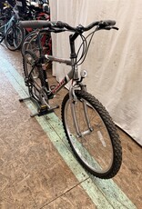 19" Giant Boulder (2152) I1L