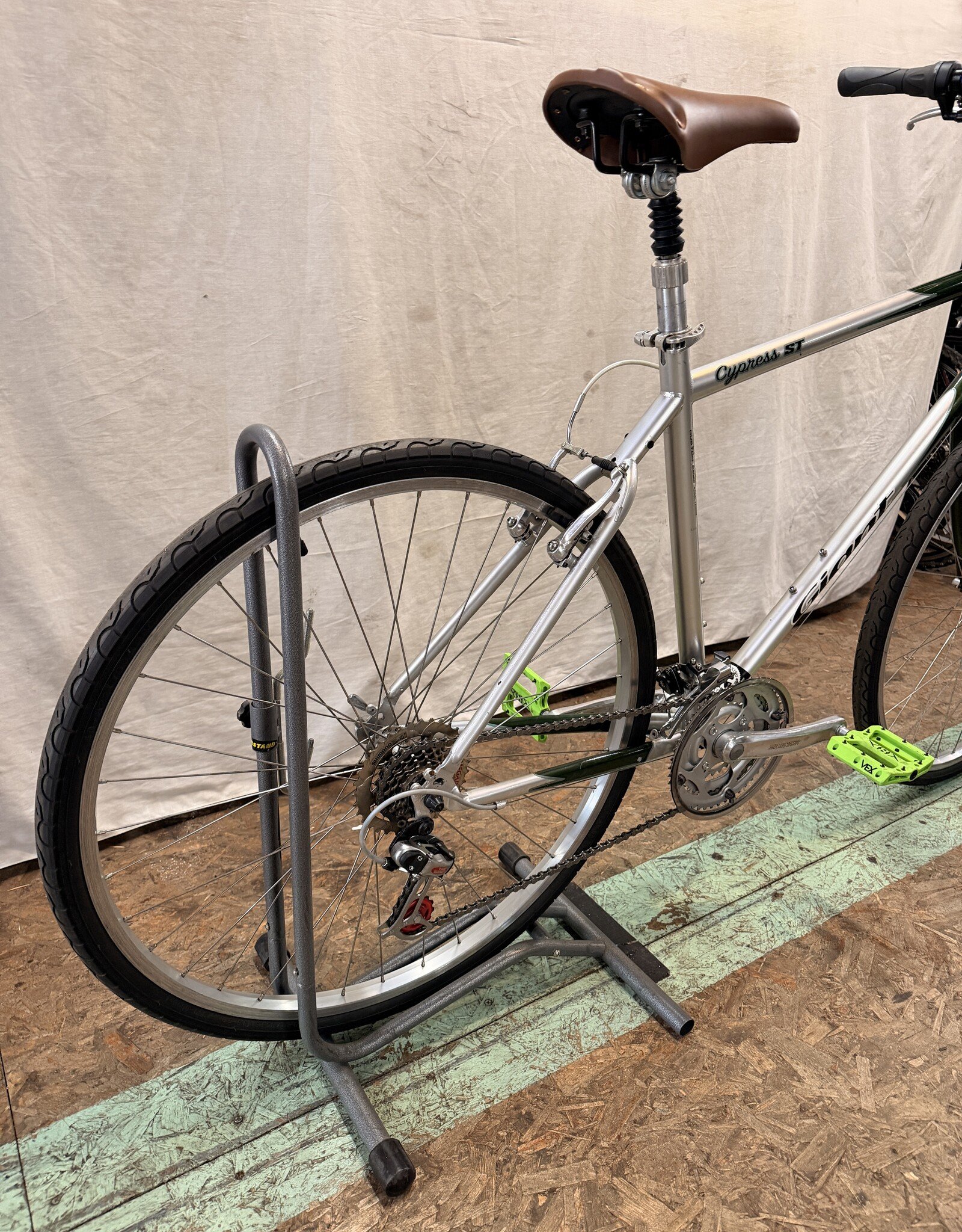 21" Giant Cypress (1890) I1L