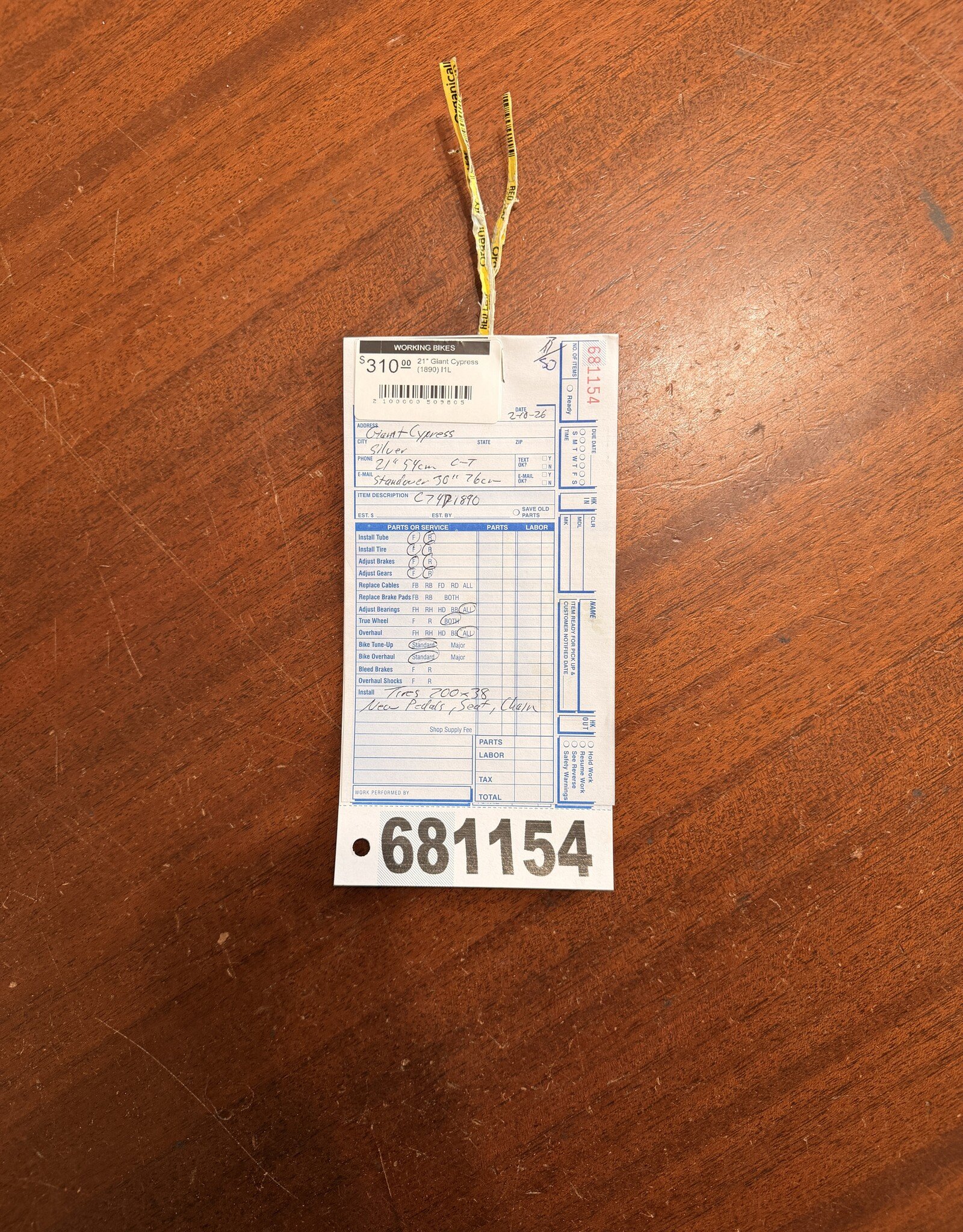 21" Giant Cypress (1890) I1L