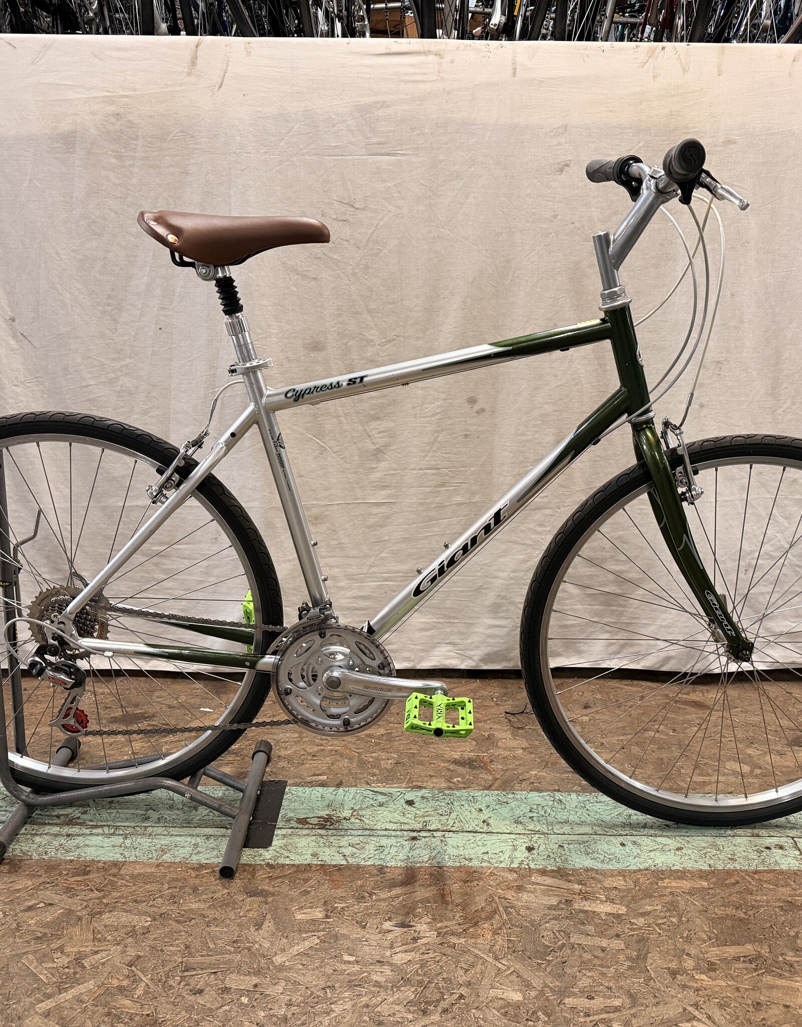 21" Giant Cypress (1890) I1L