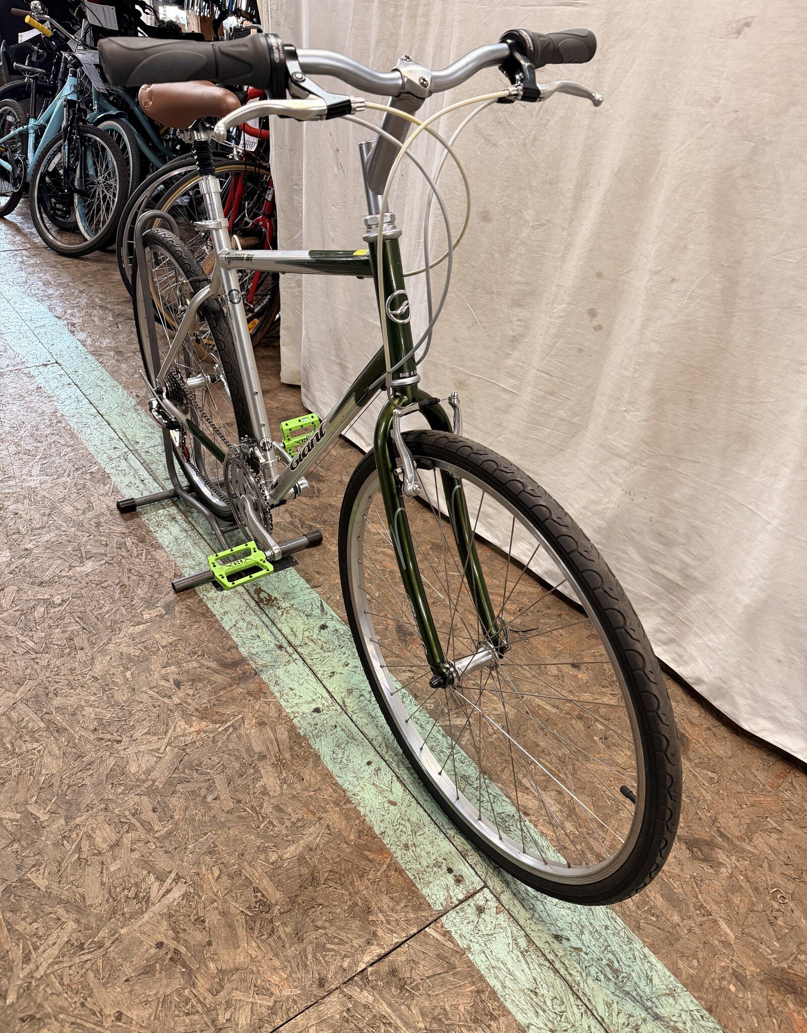 21" Giant Cypress (1890) I1L