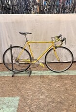 Fuji 56cm Fuji Team (0260) I2L