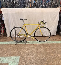 Fuji 56cm Fuji Team (0260) I2L