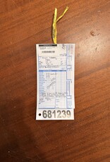 19" Giant Iguana (5522) I3U