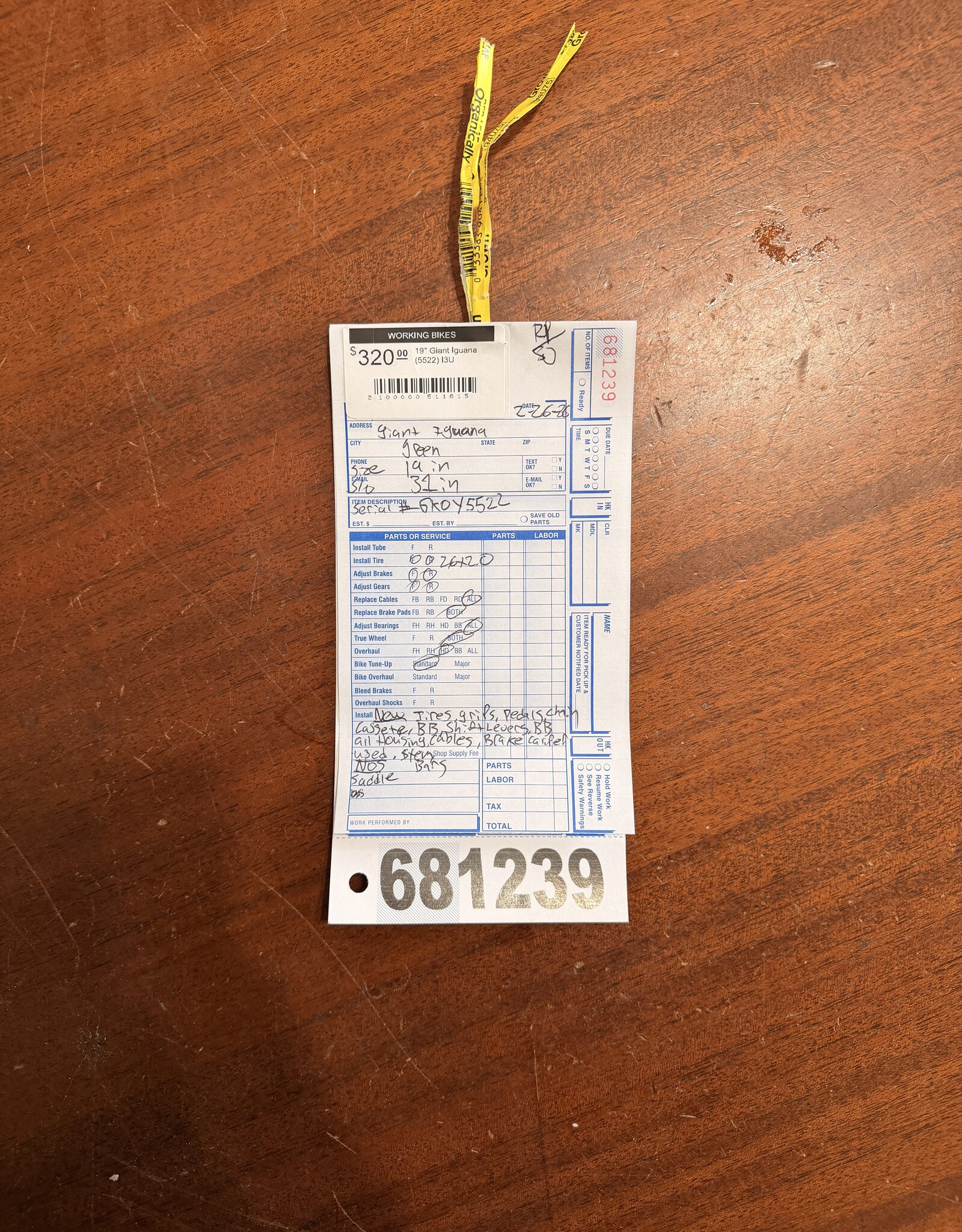 19" Giant Iguana (5522) I3U