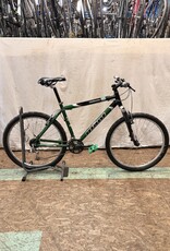 19" Giant Iguana (5522) I3U