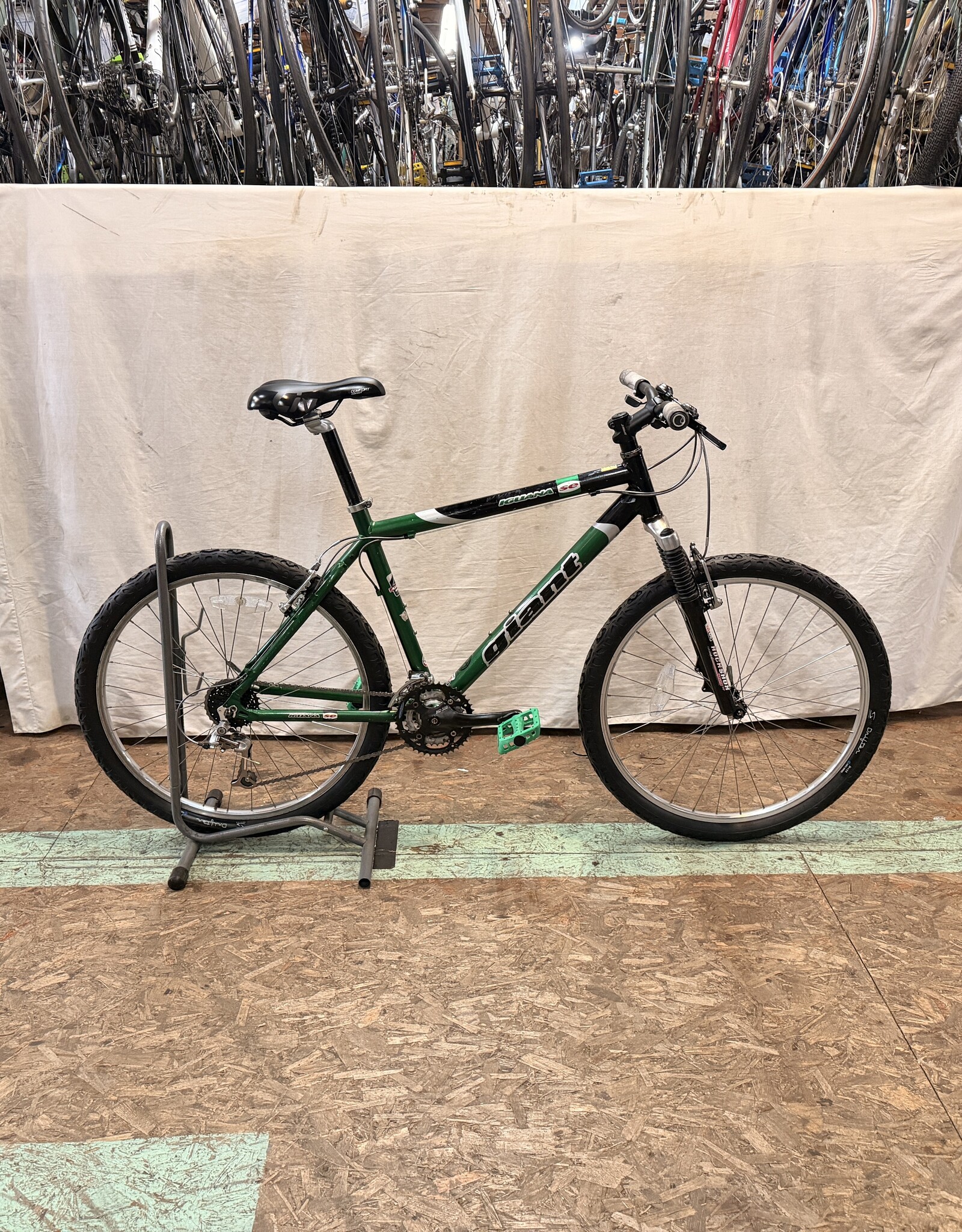 19" Giant Iguana (5522) I3U