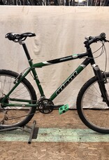 19" Giant Iguana (5522) I3U