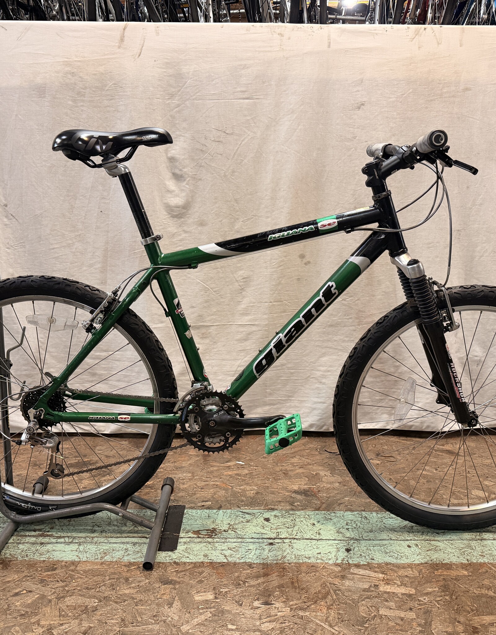 19" Giant Iguana (5522) I3U