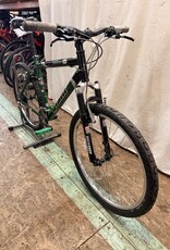 19" Giant Iguana (5522) I3U