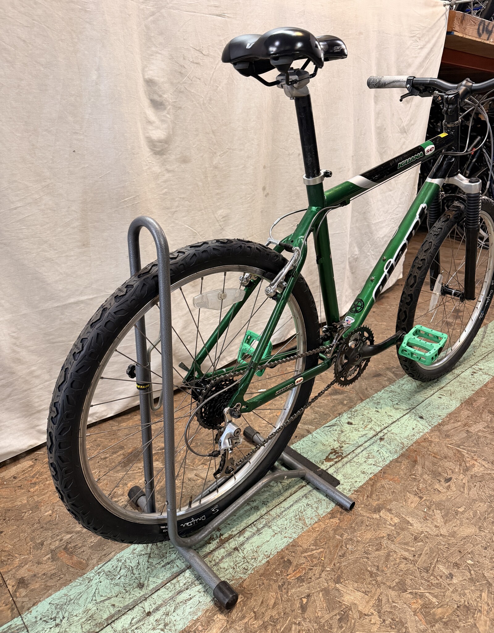 19" Giant Iguana (5522) I3U