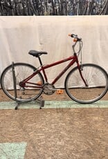 Raleigh 15.5" Raleigh C40 (1715) I3L