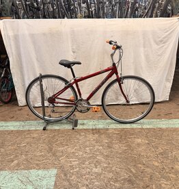 Raleigh 15.5" Raleigh C40 (1715) I3L