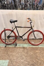 Raleigh 20.5" Raleigh Easy Ridin' (0059) I3L