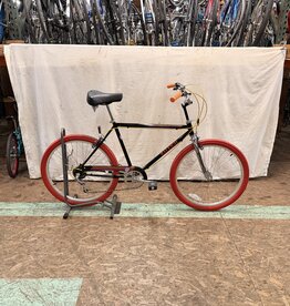 Raleigh 20.5" Raleigh Easy Ridin' (0059) I3L