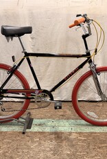 Raleigh 20.5" Raleigh Easy Ridin' (0059) I3L