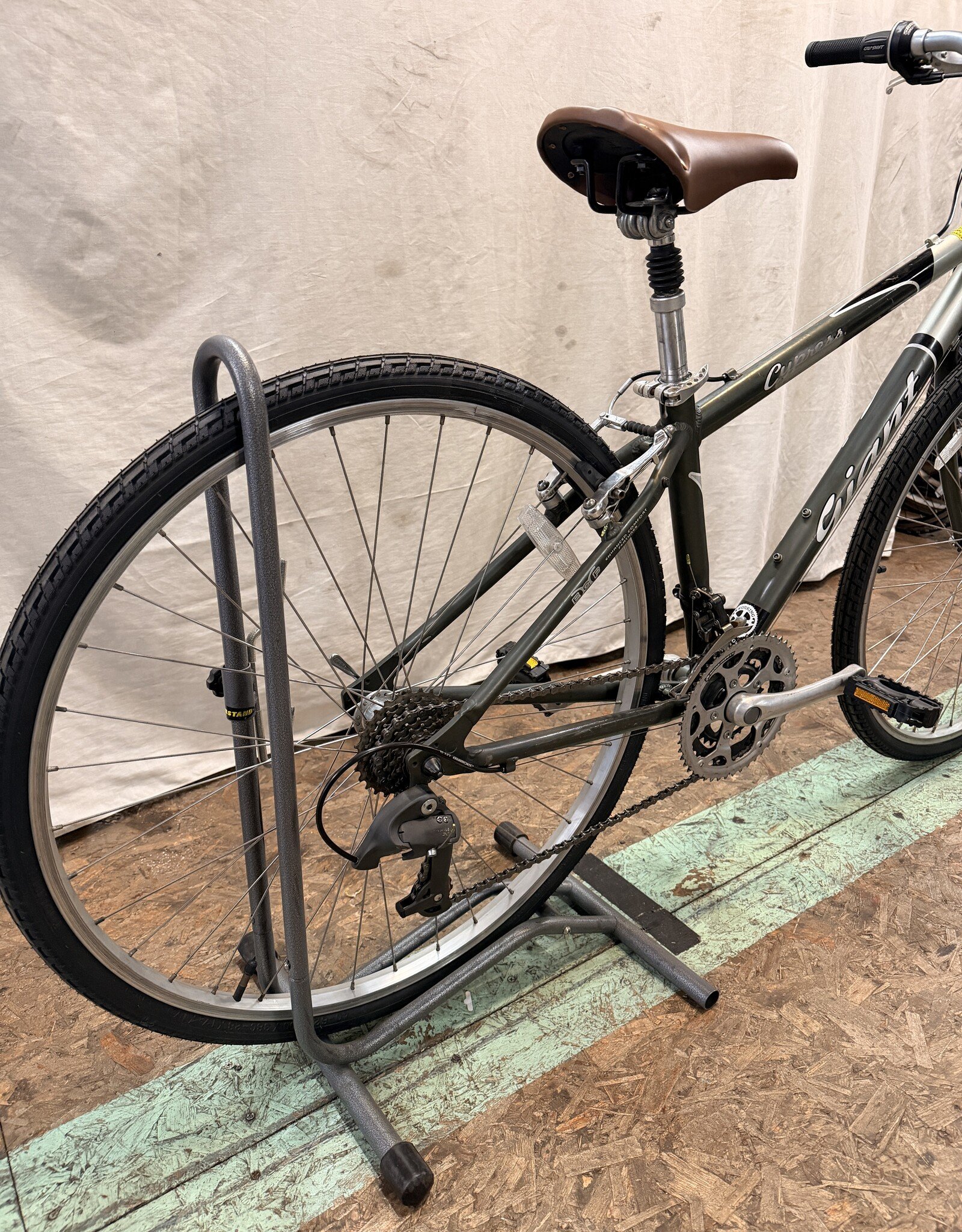 15.5" Giant Cypress (3381) K4U