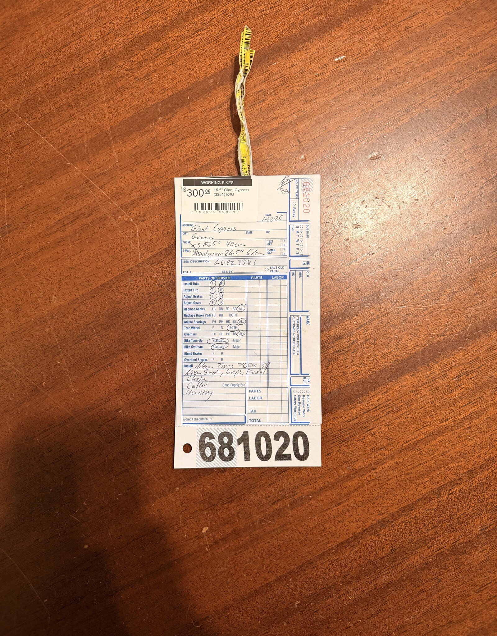 15.5" Giant Cypress (3381) K4U