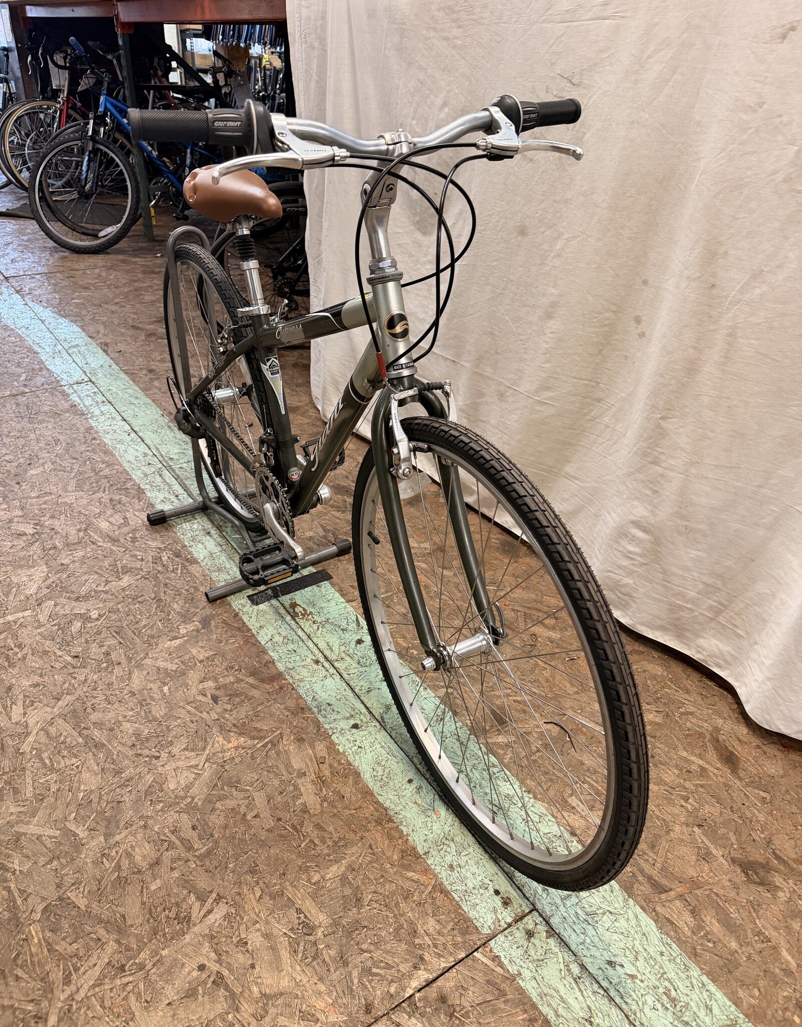 15.5" Giant Cypress (3381) K4U