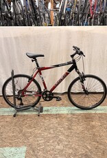 19.5" Trek 4100 SL (L800) I3L