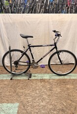 19" Schwinn Moab 1937 I4L