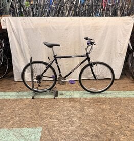 19" Schwinn Moab 1937 I4L