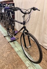 19" Schwinn Moab 1937 I4L